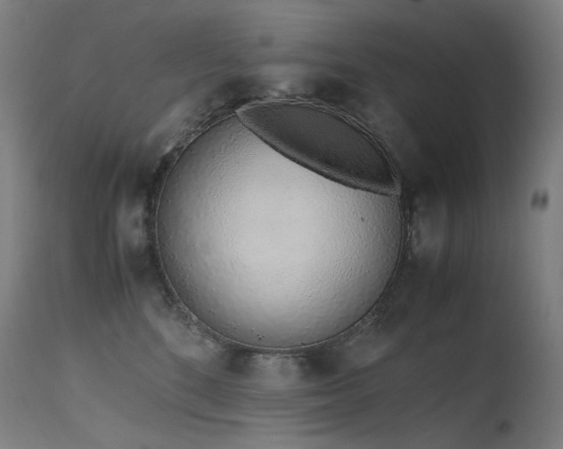 X0000115640520200911101519
