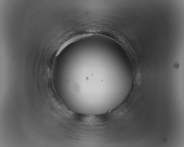 X0000115640521200911101519