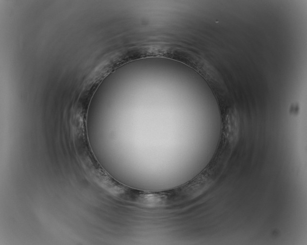 X0000115640522200911101519