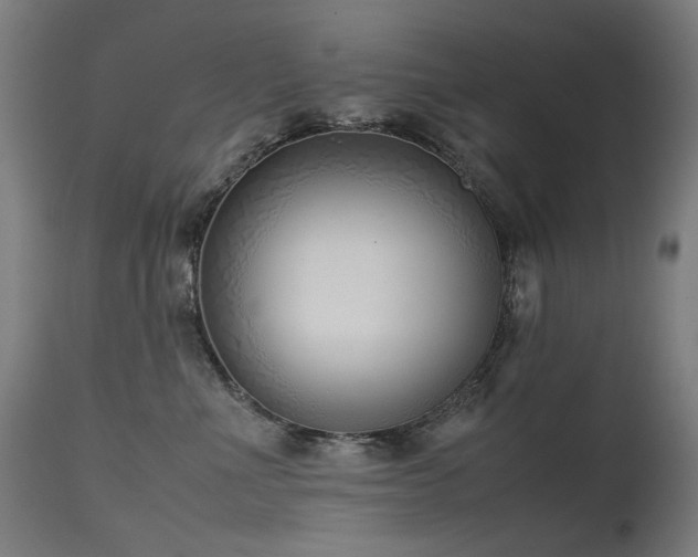 X0000115640523200911101519