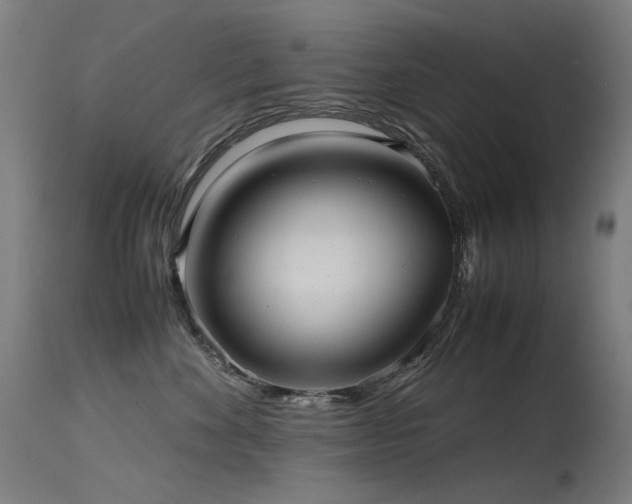 X0000115640524200911101519