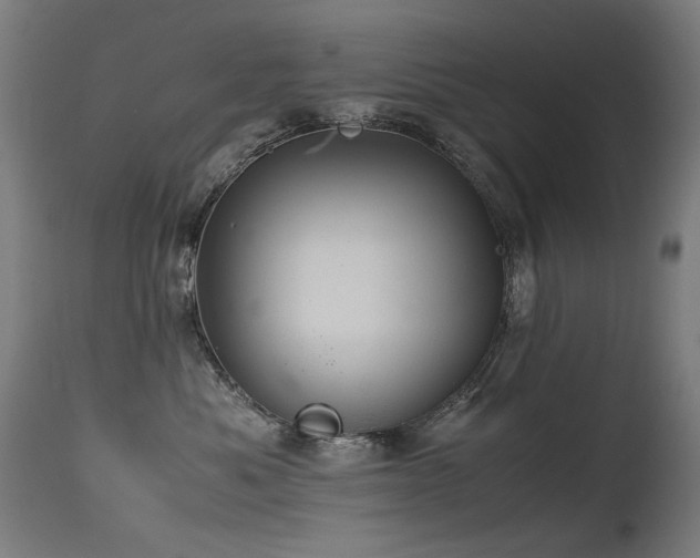 X0000115640525200911101519