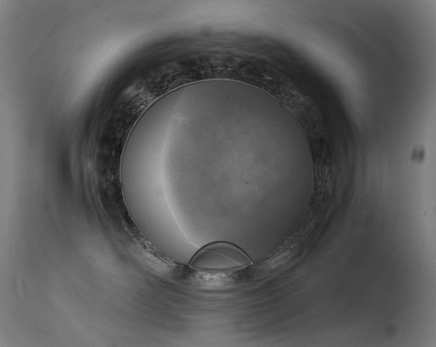 X0000115640526200911101519