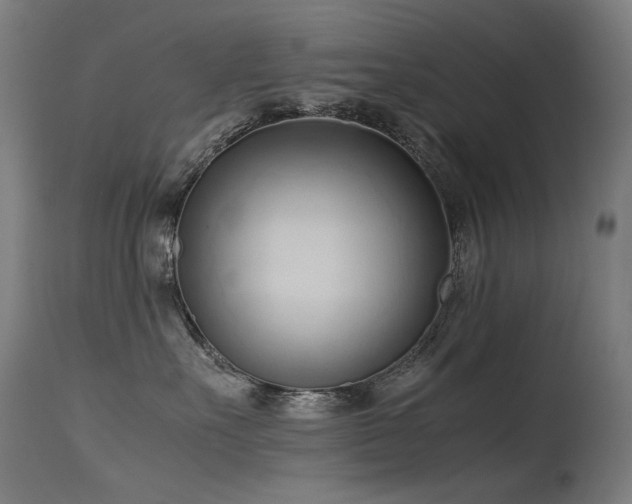 X0000115640527200911101519