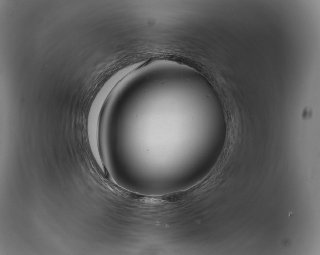 X0000115640528200911101519