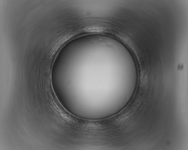 X0000115640529200911101518