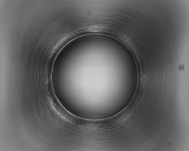 X0000115640530200911101518