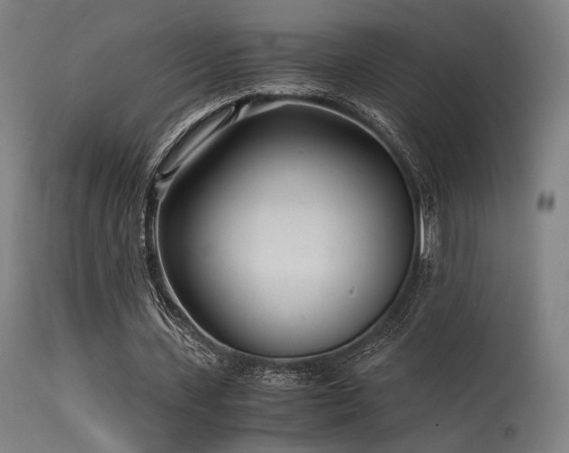 X0000115640531200911101518