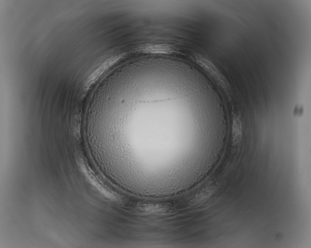 X0000115640533200911101518