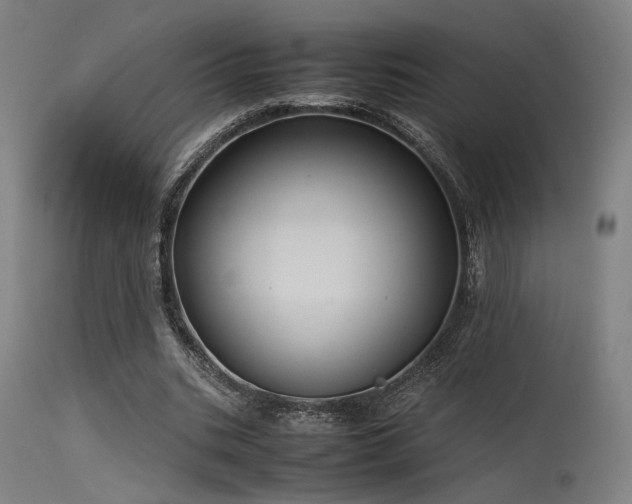 X0000115640535200911101518