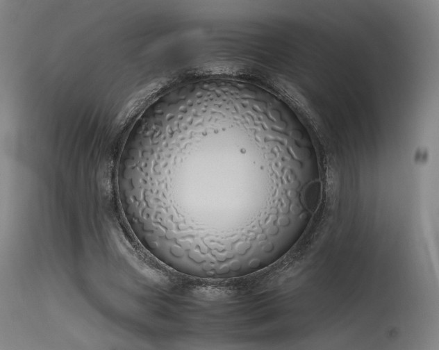 X0000115640537200911101518