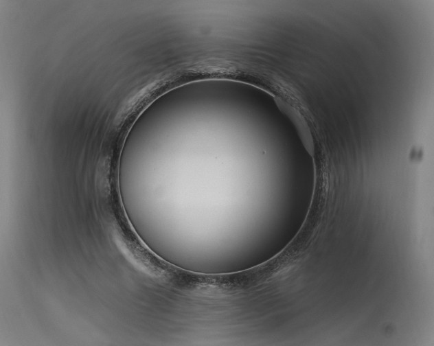 X0000115640538200911101518