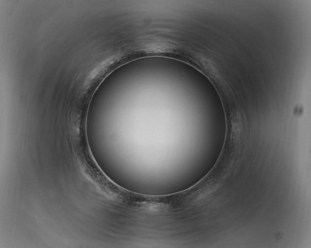 X0000115640539200911101518