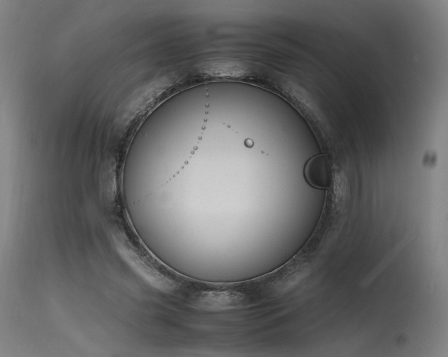 X0000115640541200911101518