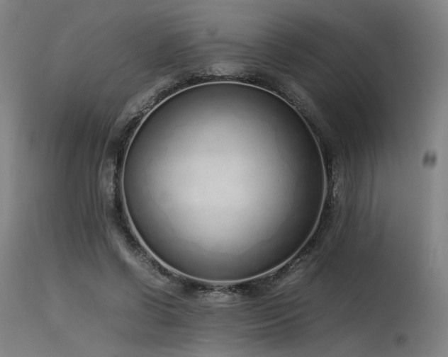 X0000115640542200911101518