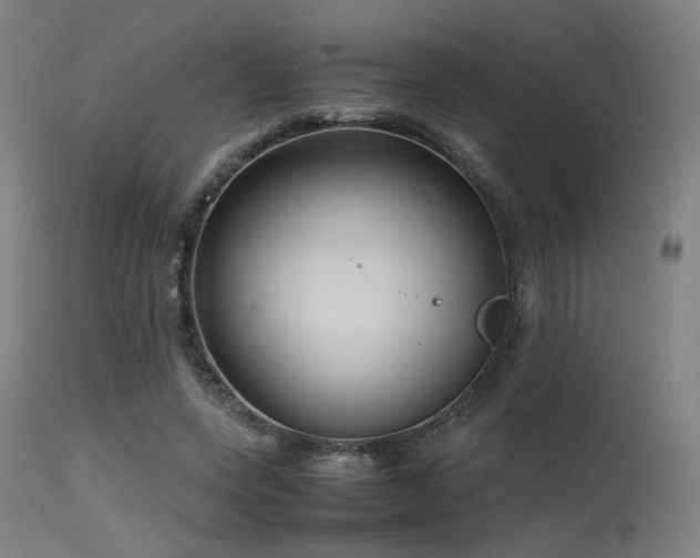 X0000115640543200911101518