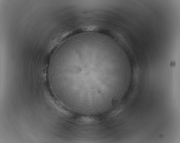X0000115640545200911101519