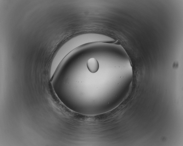 X0000115640546200911101519