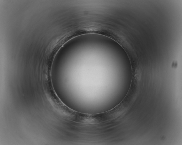 X0000115640547200911101519