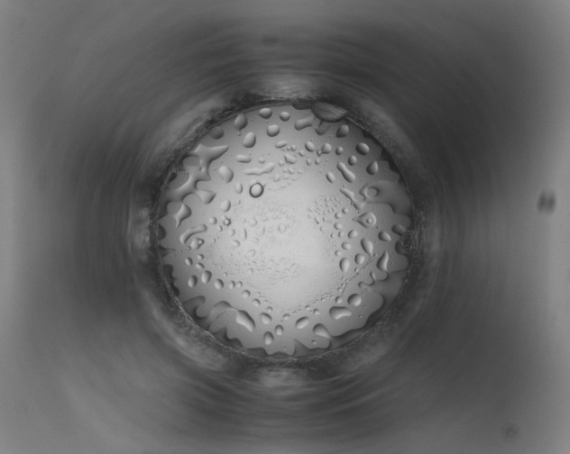 X0000115640549200911101519