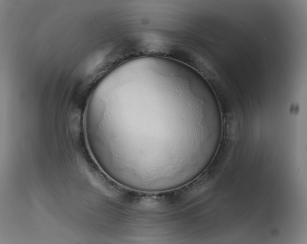 X0000115640550200911101519
