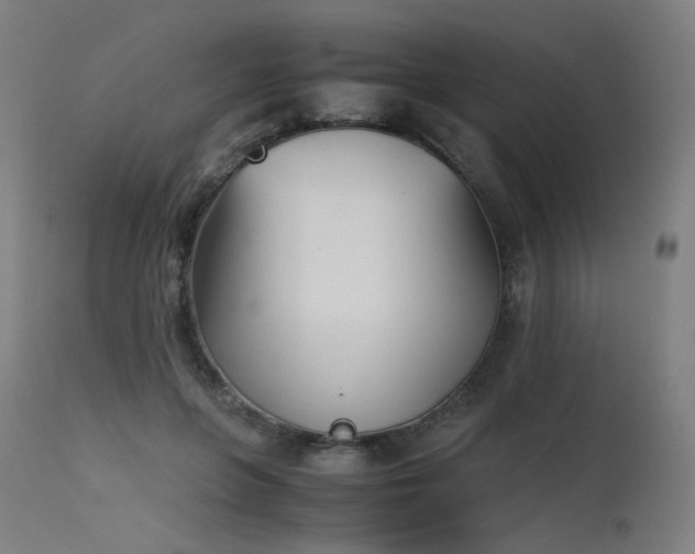 X0000115640551200911101519