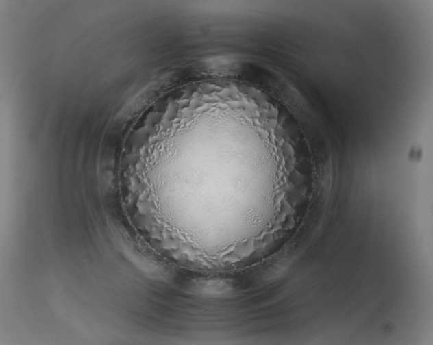 X0000115640553200911101519