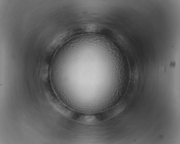 X0000115640554200911101519