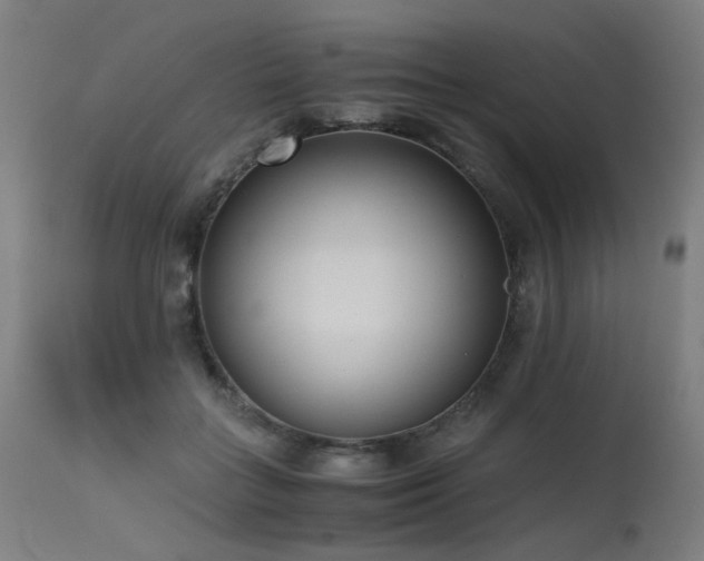 X0000115640555200911101519