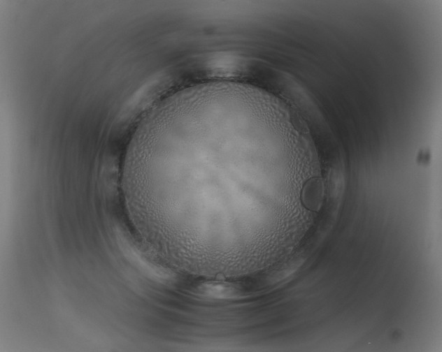 X0000115640557200911101519