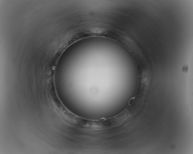 X0000115640559200911101519