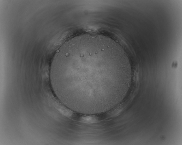 X0000115640561200911101519