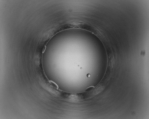 X0000115640562200911101519