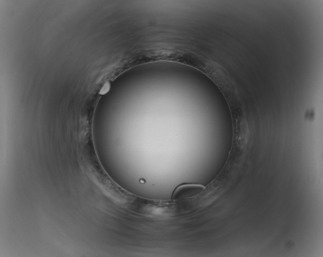 X0000115640563200911101519