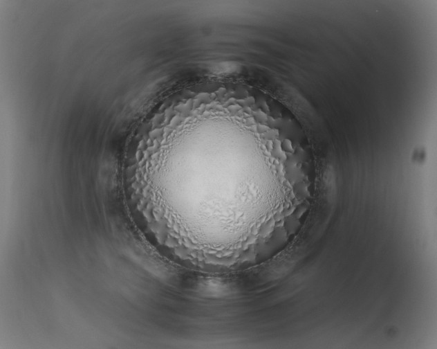 X0000115640565200911101519