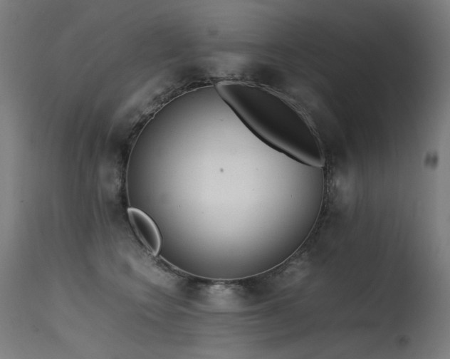 X0000115640566200911101519