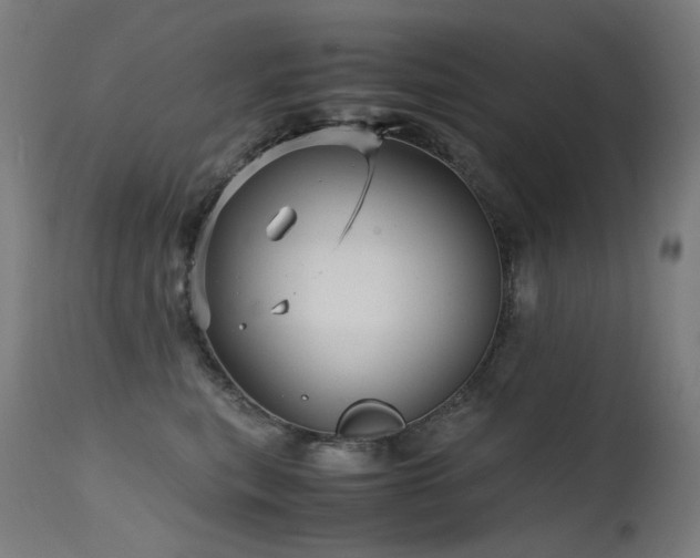 X0000115640567200911101519