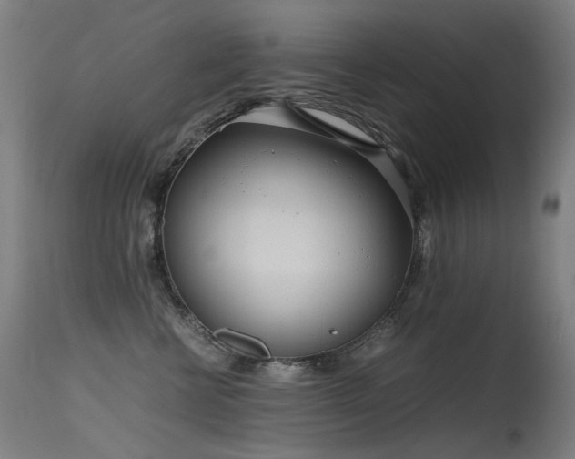X0000115640570200911101519