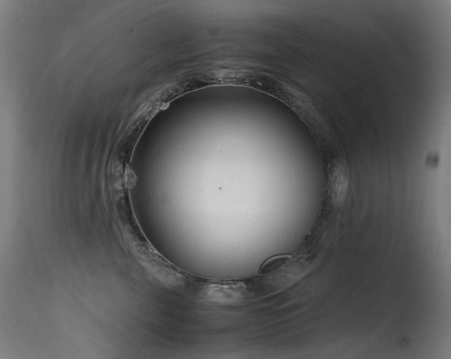 X0000115640571200911101519