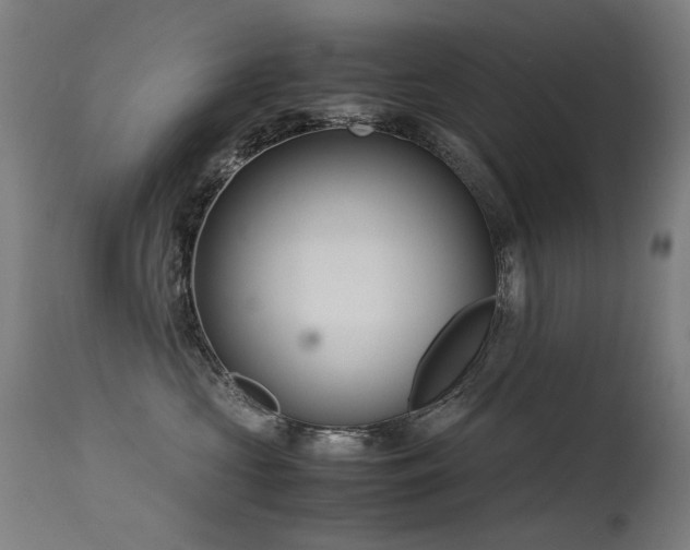 X0000115640573200911101519