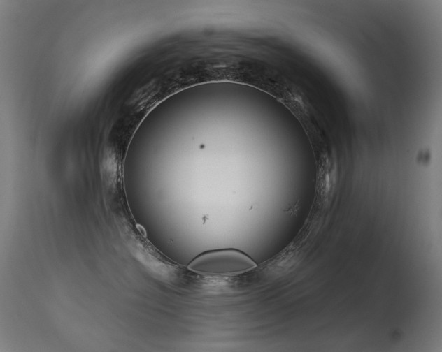 X0000115640574200911101519