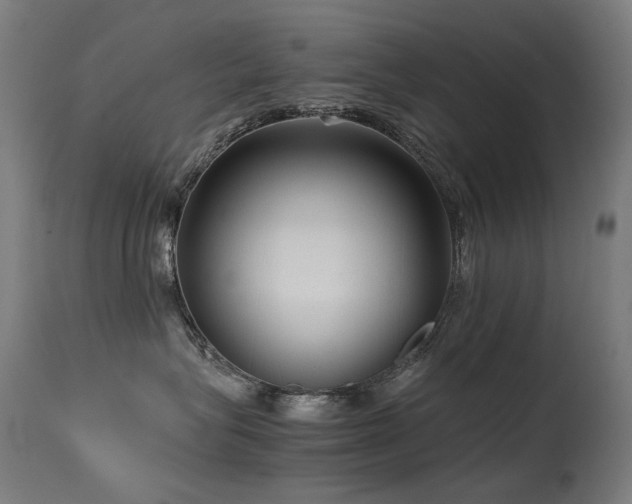 X0000115640575200911101519