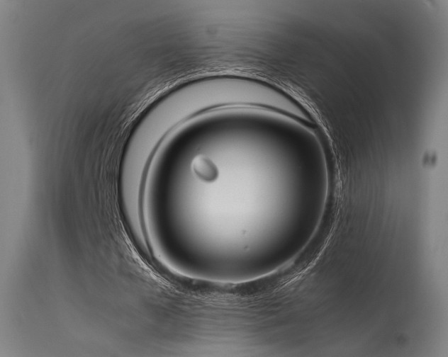 X0000115640577200911101518