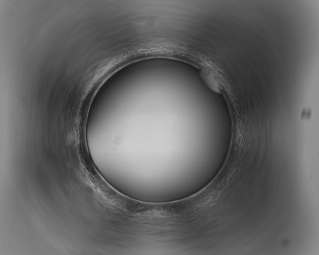 X0000115640578200911101518