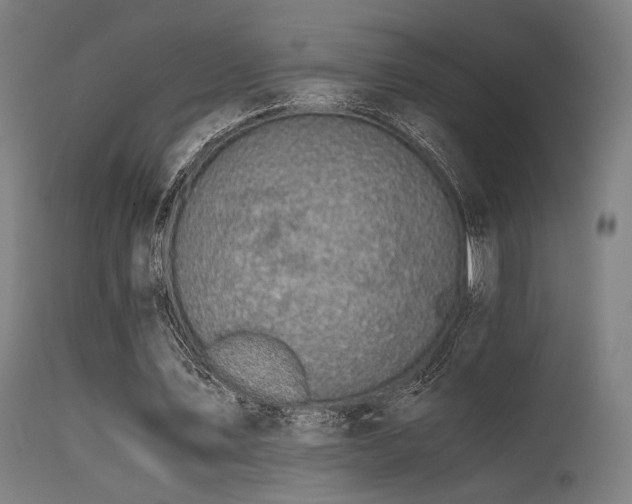 X0000115640579200911101518
