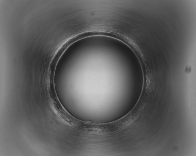 X0000115640580200911101518