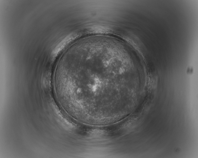 X0000115640581200911101518