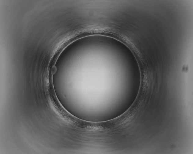 X0000115640582200911101518