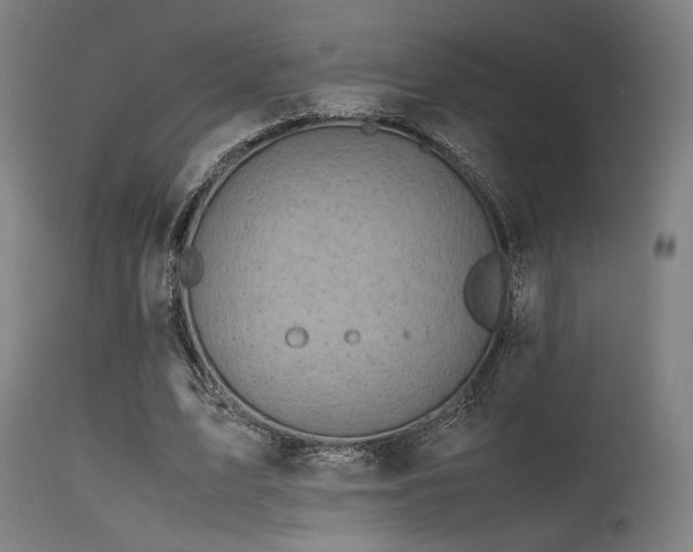 X0000115640583200911101518