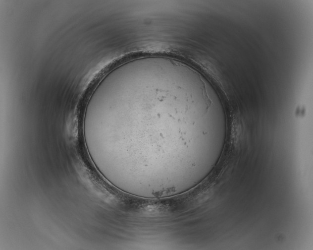 X0000115640584200911101518